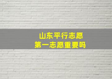 山东平行志愿第一志愿重要吗