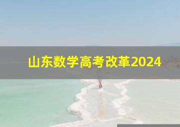 山东数学高考改革2024