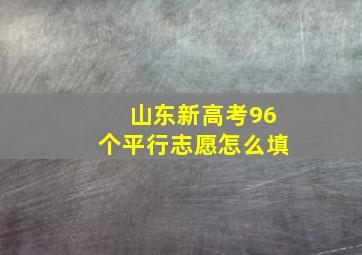 山东新高考96个平行志愿怎么填