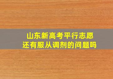 山东新高考平行志愿还有服从调剂的问题吗