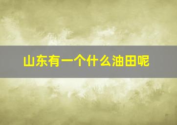 山东有一个什么油田呢