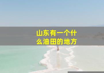 山东有一个什么油田的地方