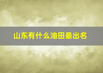 山东有什么油田最出名