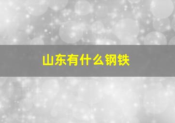 山东有什么钢铁