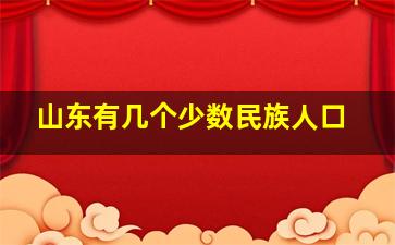 山东有几个少数民族人口