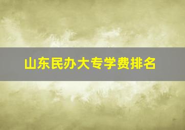 山东民办大专学费排名