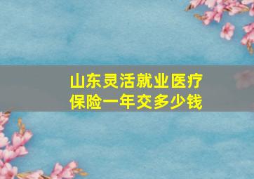 山东灵活就业医疗保险一年交多少钱