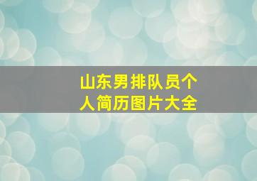 山东男排队员个人简历图片大全