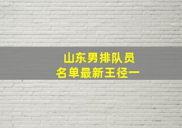 山东男排队员名单最新王径一