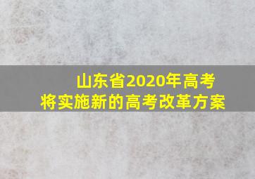 山东省2020年高考将实施新的高考改革方案