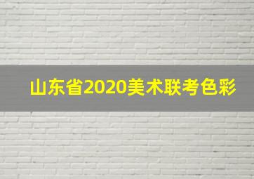 山东省2020美术联考色彩