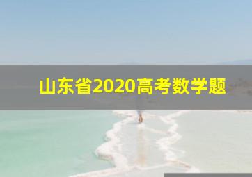 山东省2020高考数学题