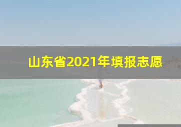 山东省2021年填报志愿