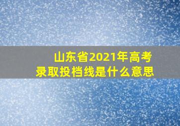 山东省2021年高考录取投档线是什么意思