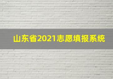 山东省2021志愿填报系统