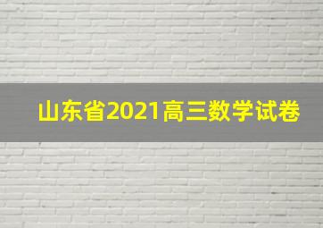 山东省2021高三数学试卷