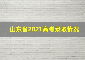 山东省2021高考录取情况