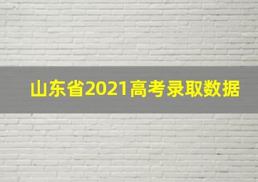 山东省2021高考录取数据