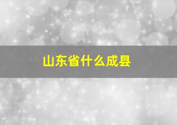 山东省什么成县