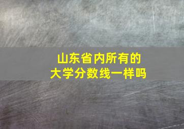 山东省内所有的大学分数线一样吗