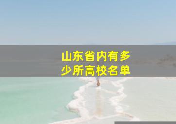 山东省内有多少所高校名单