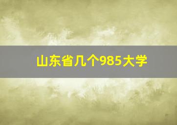 山东省几个985大学