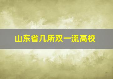 山东省几所双一流高校