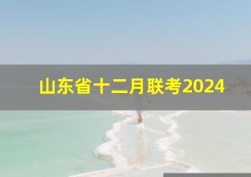 山东省十二月联考2024