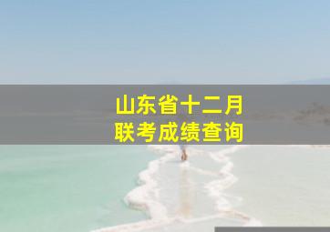 山东省十二月联考成绩查询