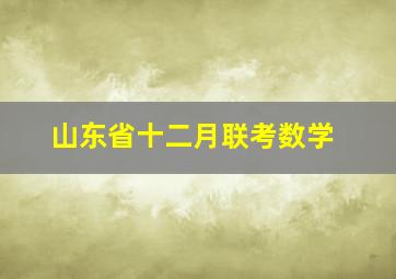 山东省十二月联考数学