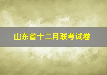 山东省十二月联考试卷