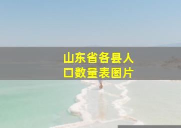 山东省各县人口数量表图片