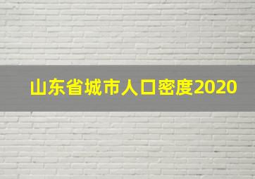 山东省城市人口密度2020