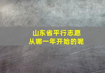 山东省平行志愿从哪一年开始的呢