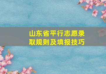 山东省平行志愿录取规则及填报技巧