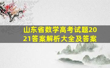 山东省数学高考试题2021答案解析大全及答案