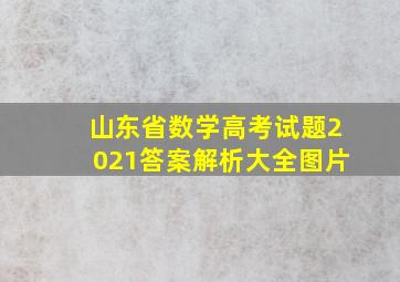 山东省数学高考试题2021答案解析大全图片