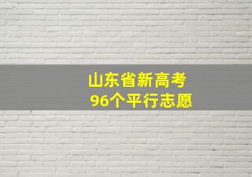 山东省新高考96个平行志愿