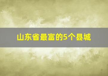 山东省最富的5个县城