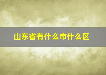 山东省有什么市什么区