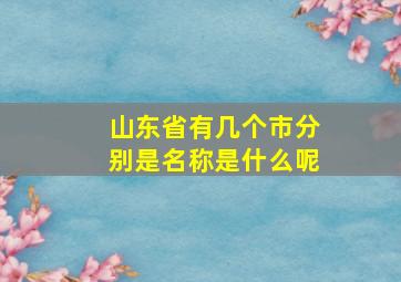 山东省有几个市分别是名称是什么呢