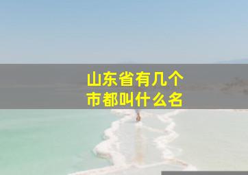 山东省有几个市都叫什么名