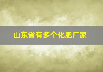 山东省有多个化肥厂家