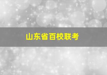 山东省百校联考