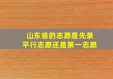 山东省的志愿是先录平行志愿还是第一志愿