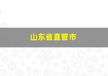 山东省直管市