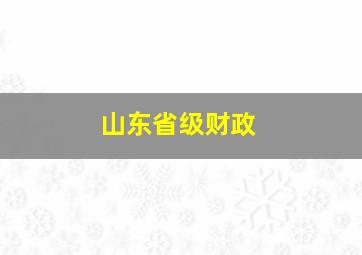 山东省级财政