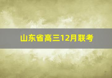 山东省高三12月联考