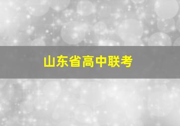 山东省高中联考