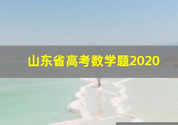 山东省高考数学题2020